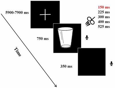 Probing the Timing Recruitment of Broca’s Area in Speech Production for Mandarin Chinese: A TMS Study